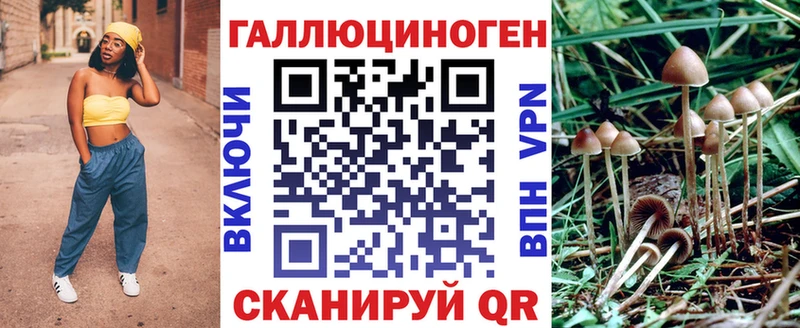 Купить  Ленинск-Кузнецкий  Псилоцибиновые грибы прущие грибы 
